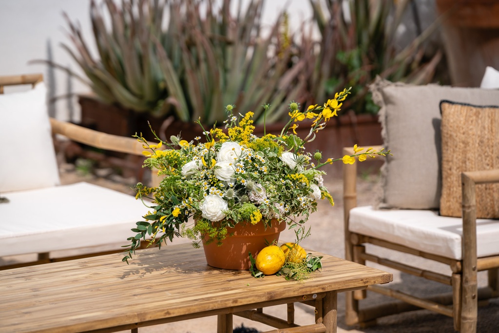 Chill out Bambú (10 plazas)