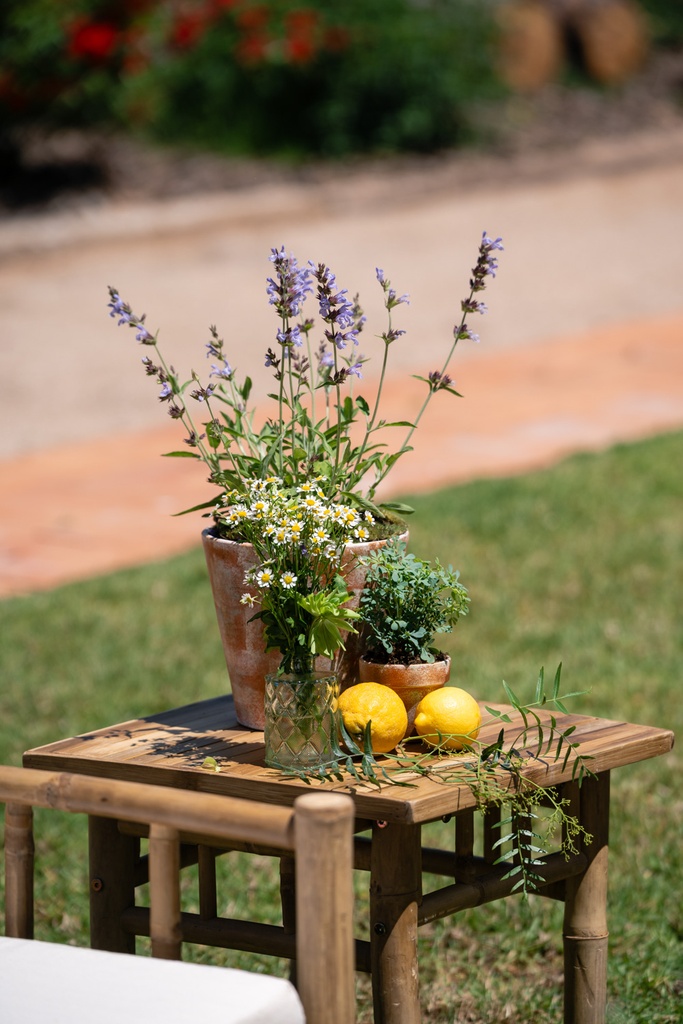 Chill out Mallorca (10 plazas)