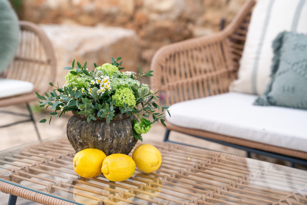 Chill out Tramuntana (10 plazas)