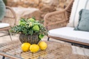 Chill out Tramuntana (10 plazas)