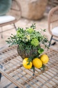 Chill out Tramuntana (10 plazas)