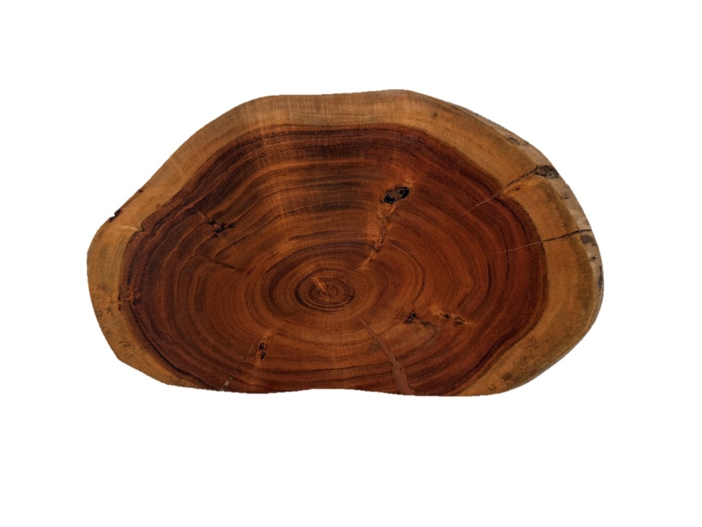 Bandeja tronco de madera 45×25
